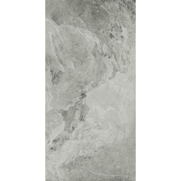 Italon Charme Extra Floor Project Silver 60x120 Ret (Италон Шарм Экстра Флор Проджект Экстра Силвер 60x120)