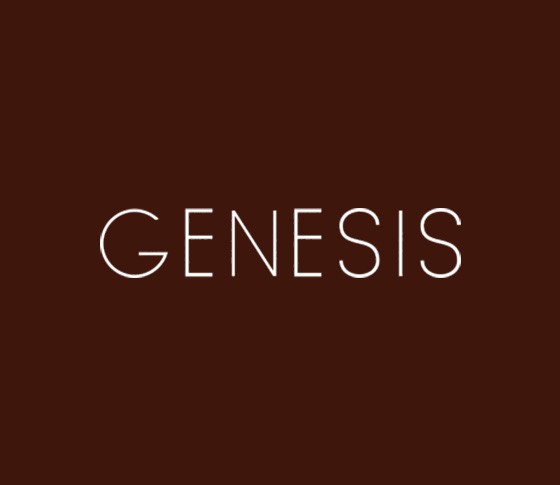 Видео коллекции Genesis